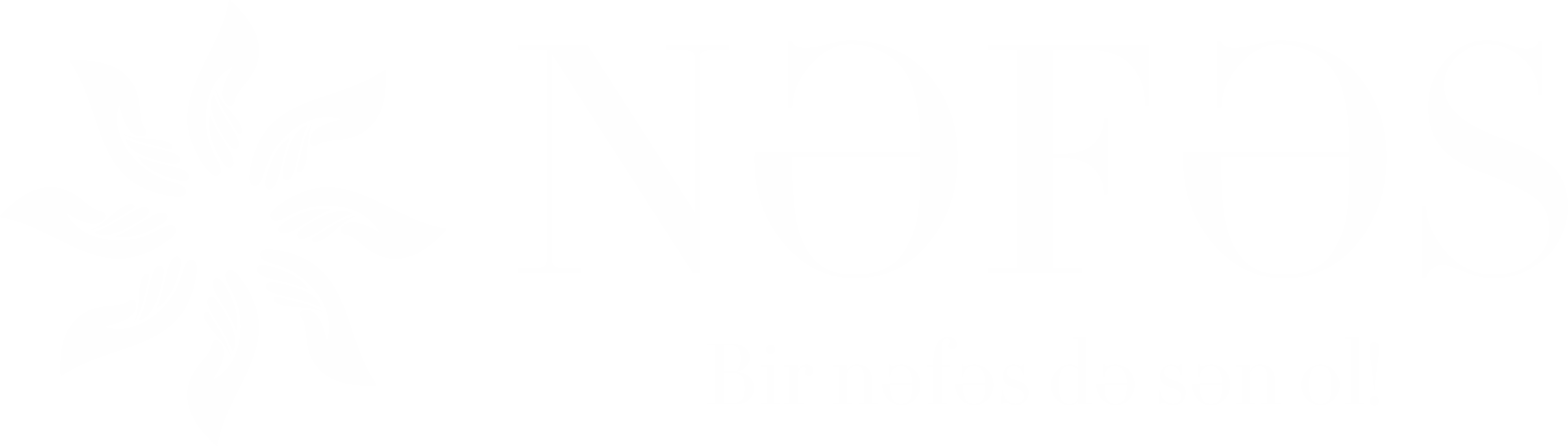 Nəfəs İctimai Birliyi Nəfəs İctimai Birliyi